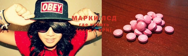 apvp Верея