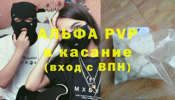 шишки Верхний Тагил