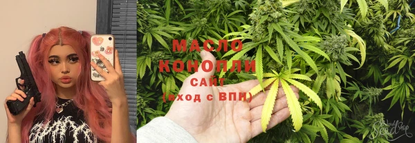 шишки Верхний Тагил