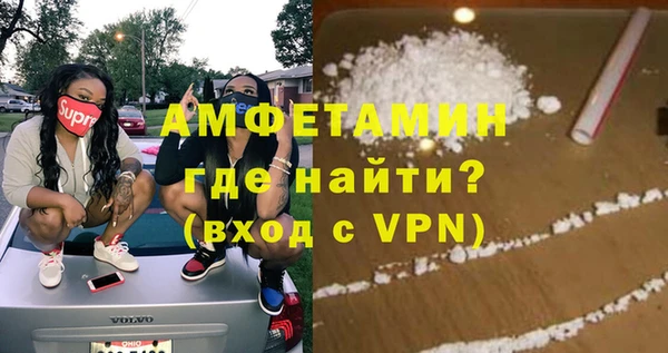 шишки Верхний Тагил