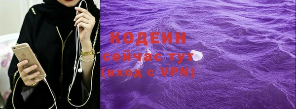 шишки Верхний Тагил