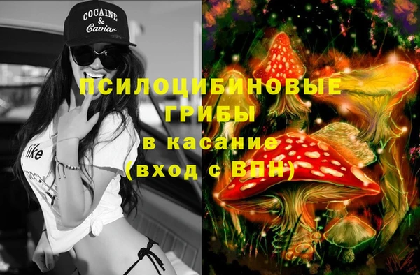 ПСИЛОЦИБИНОВЫЕ ГРИБЫ Бугульма