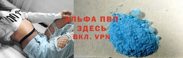 шишки Верхний Тагил